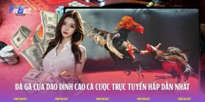 Đá Gà Cựa Dao - Đỉnh Cao Cá Cược Trực Tuyến Hấp Dẫn Nhất