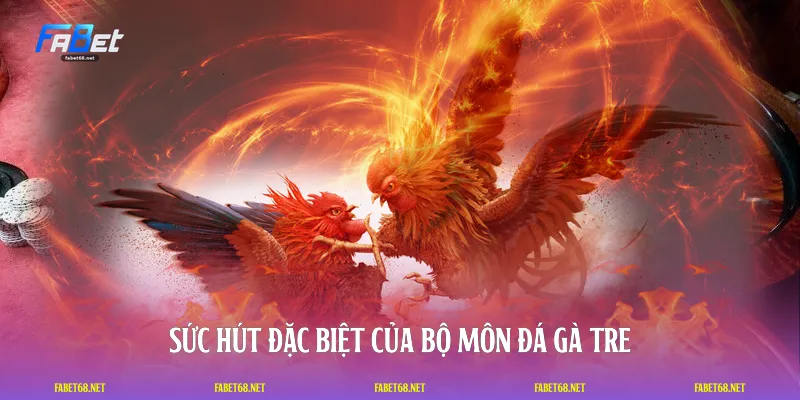Sức hút đặc biệt của bộ môn đá gà tre