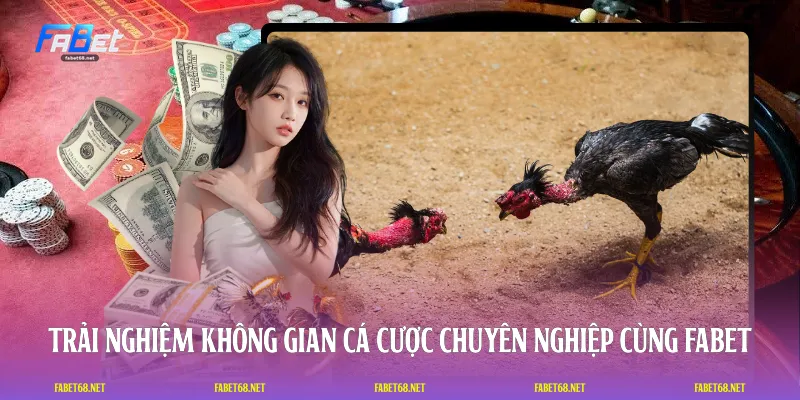 Trải nghiệm không gian cá cược chuyên nghiệp cùng FABET