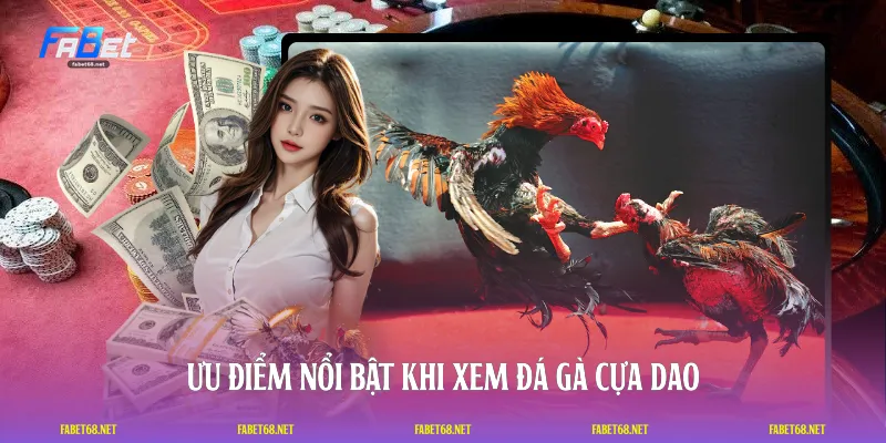 Ưu điểm nổi bật khi xem đá gà cựa dao